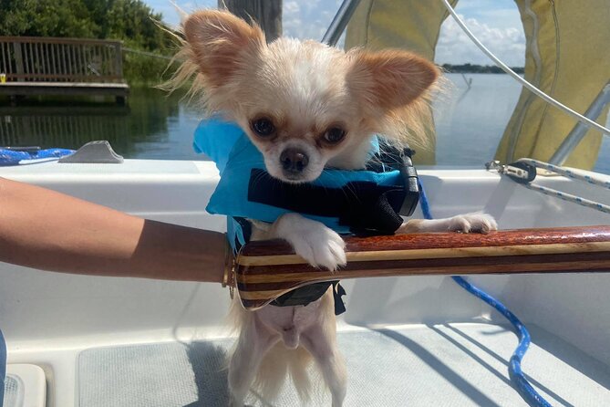 Private 2-Hour Day Sailing Experience