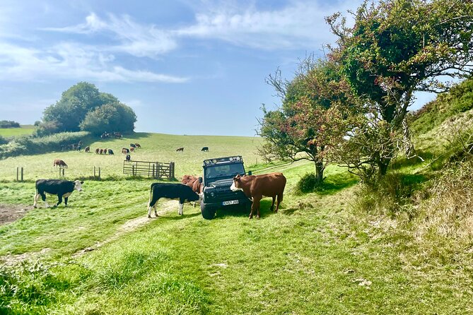 Private 4×4 Dorset Safari. 6 Hour Cruise Ship Jeep Safari Special
