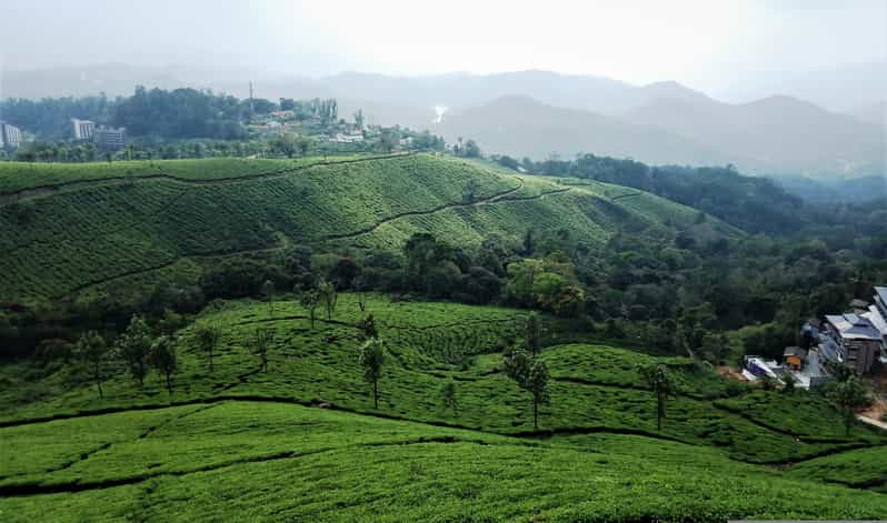 Private 5-Days Kerala Tour With Sightseeing Tickets - Tour Overview