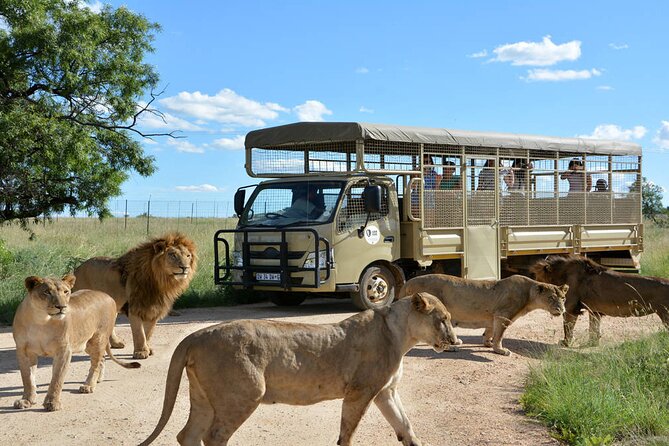Private 5-Hour Lion Park Tour From Johannesburg or Pretoria