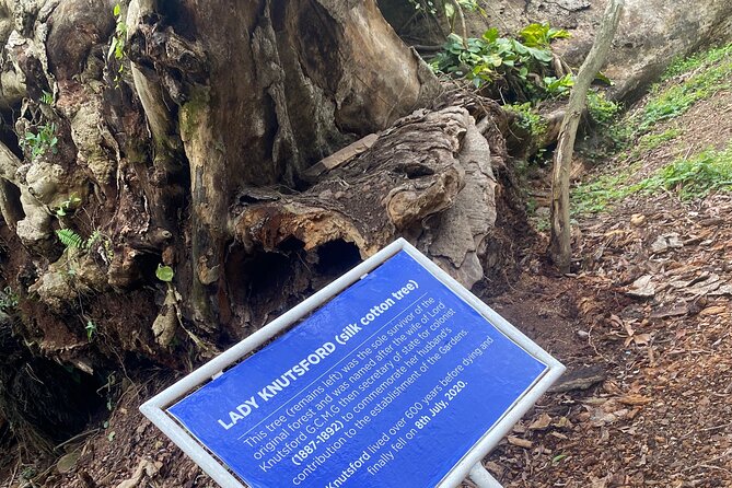 Private Aburi Hill Guided Tour