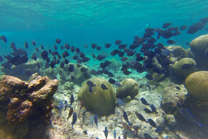 Private All Inclusive Day Trip on 60 Sailing Yacht W/ Snorkeling