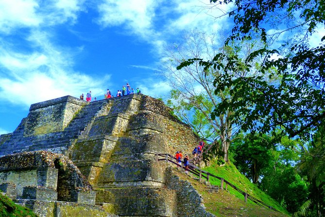 Private Altun Ha Maya Ruin & Zip Line Adventure From Belize City