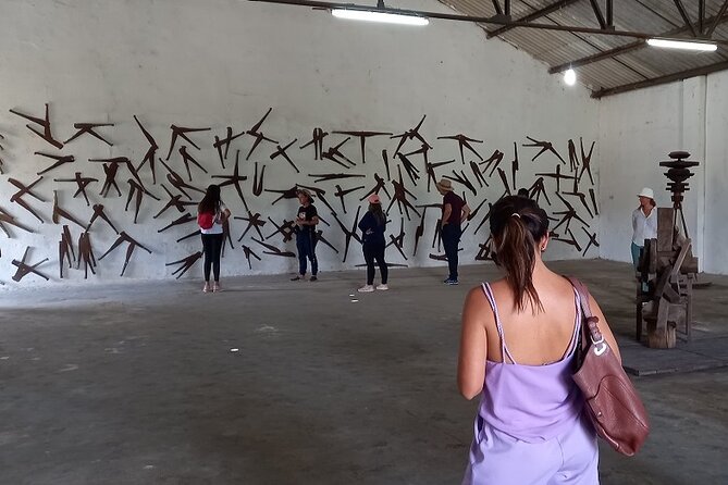 Best Guided Tours In Recife