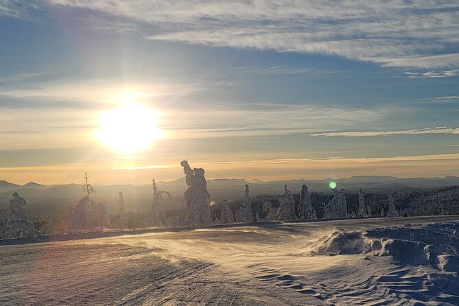 Private Arctic Circle Expedition From Fairbanks