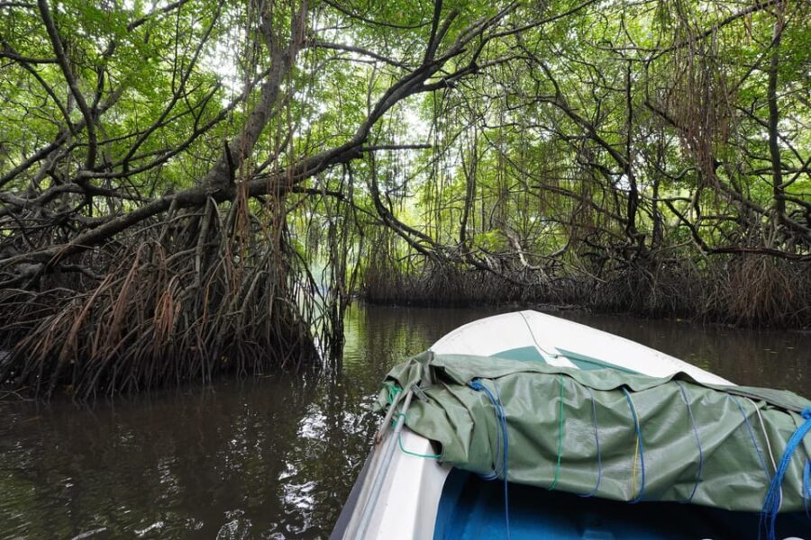 Private Bentota River Safari Tour With Pickup