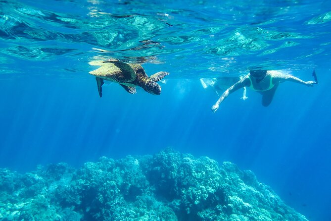 Private Big Island Snorkeling