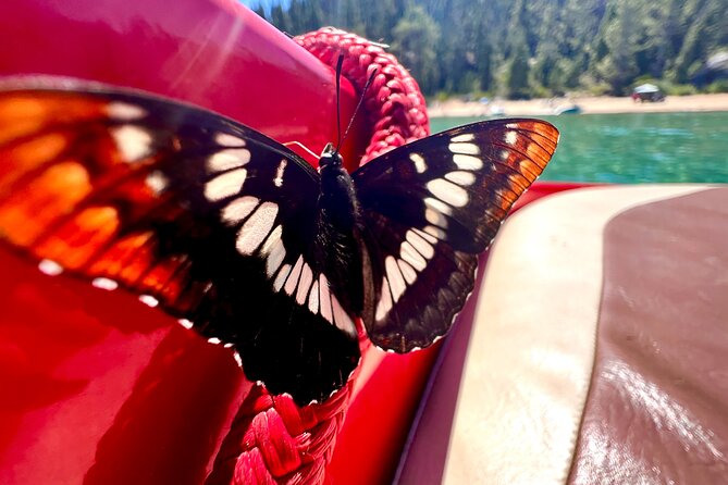 Private Boat Charter Emerald Bay in the Grateful Red