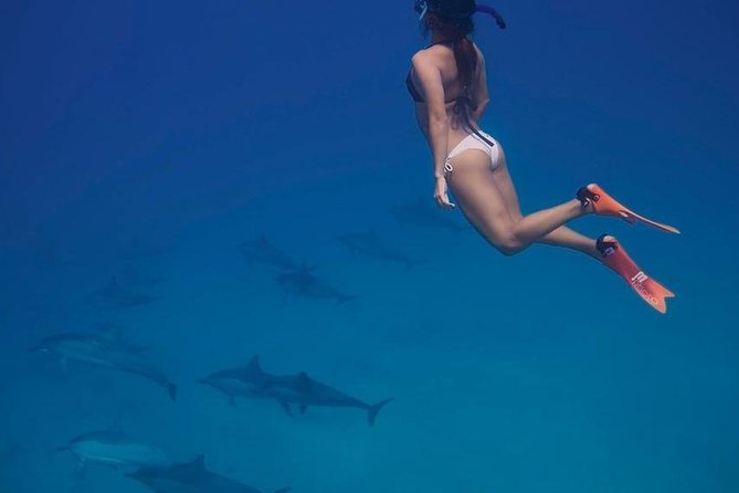 Private Boat Snorkeling Trip And Lunch Up To 10 Pax From Hurghada