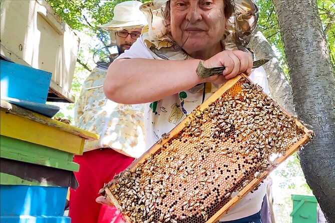 Private Bulgarian Honey and Mead Tasting - Overview of the Experience