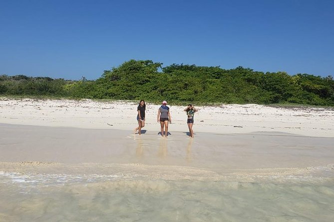 Private Charles Darwin Station Tour &Tortuga Bay Beach With Lunch