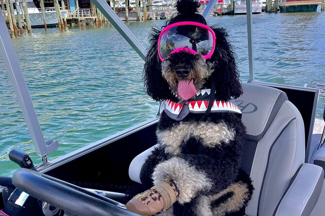 Private Chartered Luxury Pontoon Boat in Destin-Up to 6 Guests - Luxury Boat Features