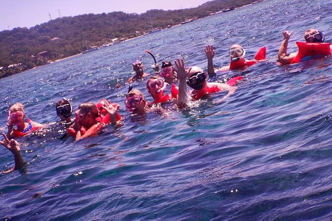 Private Chocolate & Rumfactory Tour Snorkeling CoralReef WestEnd - Tour Overview