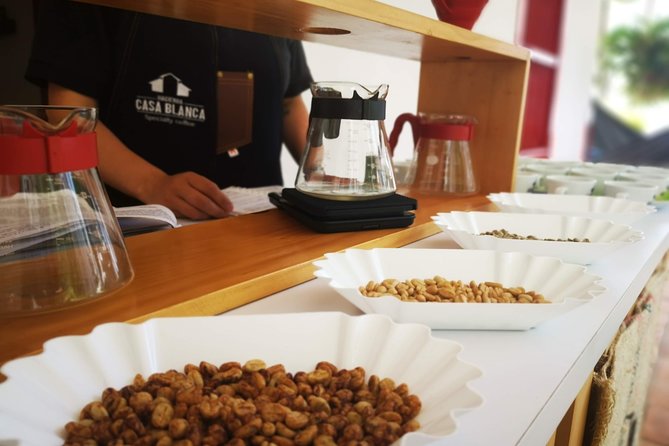 Private City Tour in Bucaramanga and Artisanal Coffee Tasting