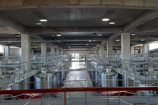 Private Colchagua Valley Wine Tour All Inclusive From Santiago