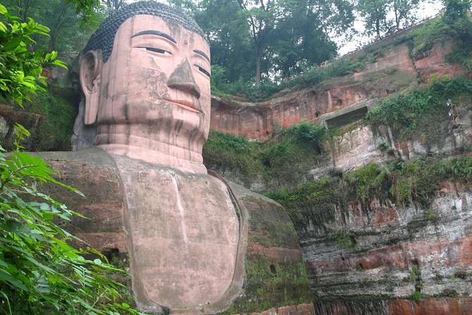 Private Day Tour: Chengdu Panda and Leshan Buddha