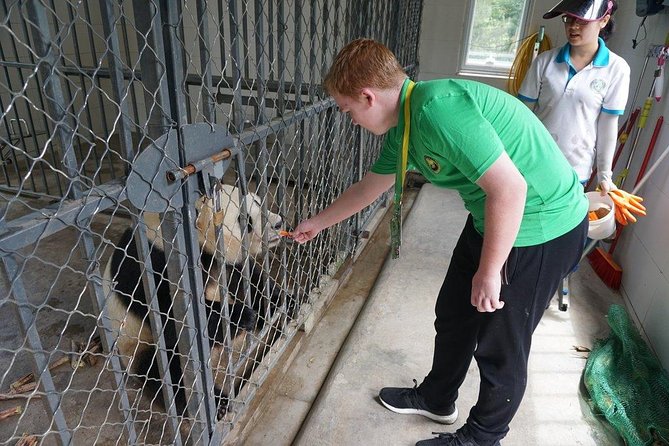 Private Day Tour: Dujiangyan Panda Base Volunteering From Chengdu