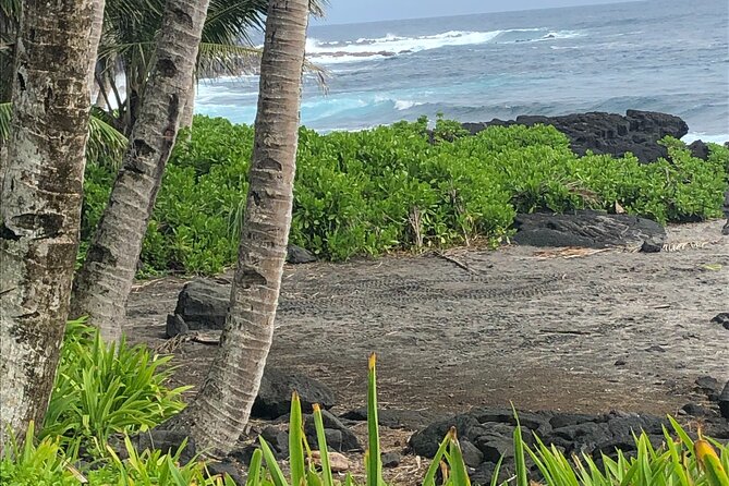 Private Day Tour From Hilo to Puna