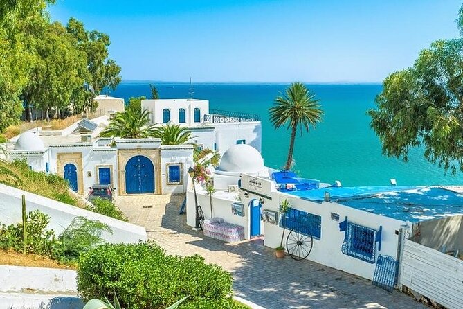 Private Day Tour: Medina of Tunis, Carthage, Sidi Bousaid With Lunch