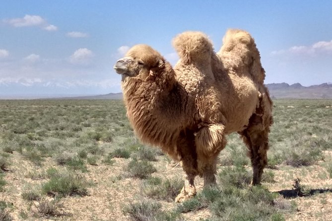 Private Day Tour to the Land of Canyons-UNESCO-of Kazakhstan