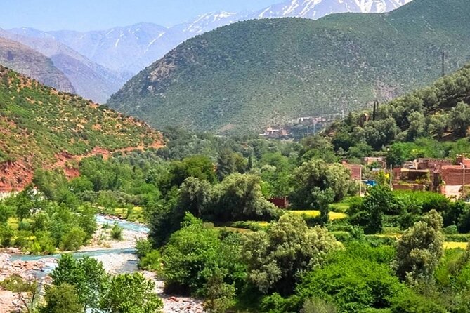 Private Day Trip to Atlas Mountains | Travel Buddies