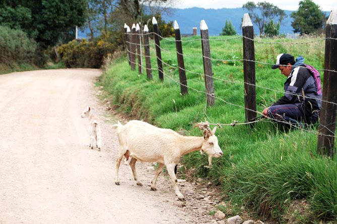 Private Day Trip to Traditional Towns Around Bogotá (9 Hrs.)