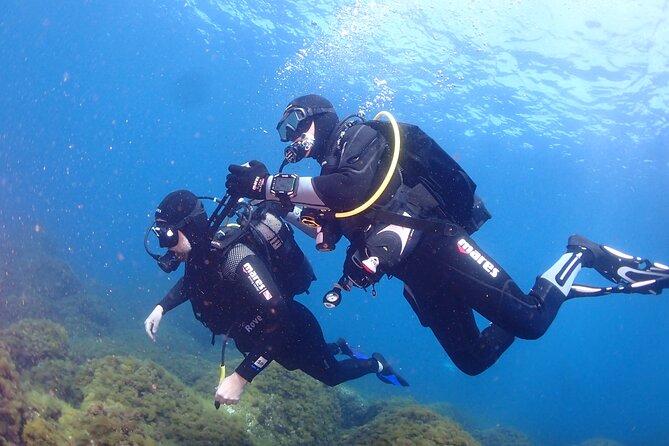 Private Diving Baptism in the Gulf of Calvi