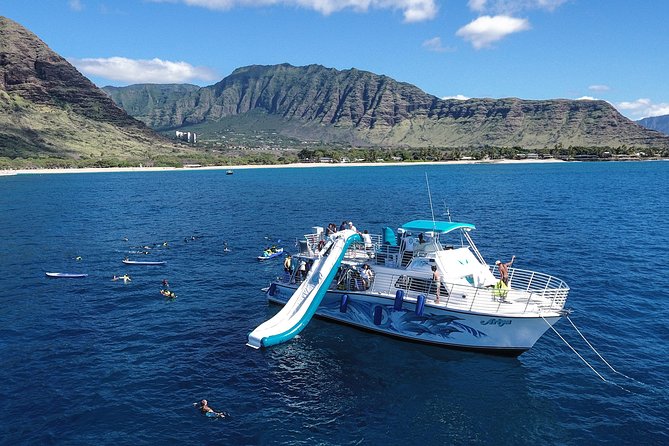 Private Dolphin Swim With Slide for up to 15 Passengers