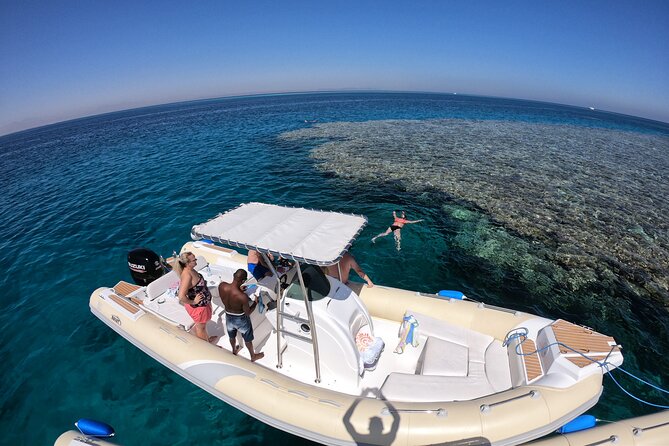 Private Dolphin Watching And Snorkeling Tour