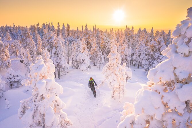 Private Electric Fat Bike Winter Tour in Rovaniemi