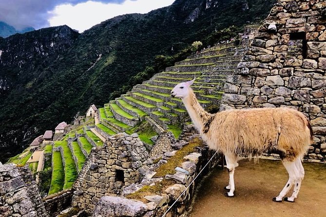 Private Experience To Machu Picchu Full Day By Train