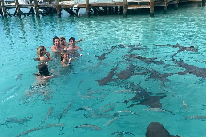 Private Exuma Swimming Tour With Lunch at the Beach Bar