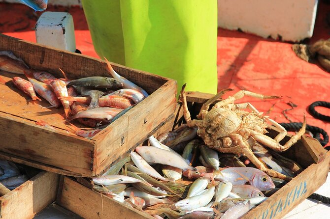 Private Fishing Tour From Athens With A Traditional Fishing Boat