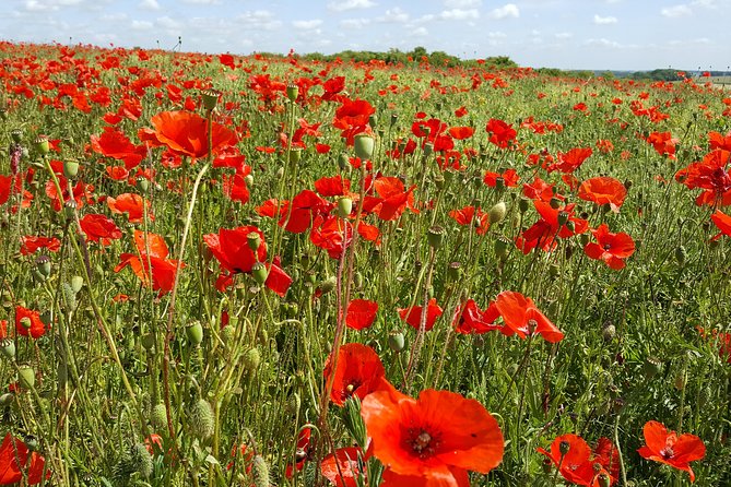 Private Full-Day Canadian WW1 Vimy and Somme Battlefield Tour From Bruges