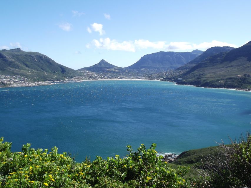 PRIVATE FULL DAY CAPE PENINSULA TOUR - Tour Overview