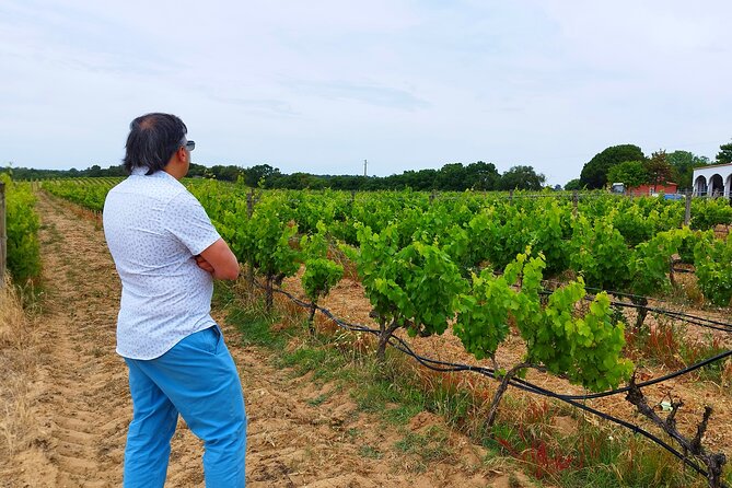 Private Full Day Evora & Alentejo Wine Tour From Lisbon