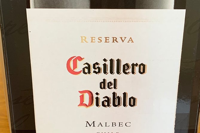 Private Full Day Rafting and Wine From Santiago - Inclusions and Highlights