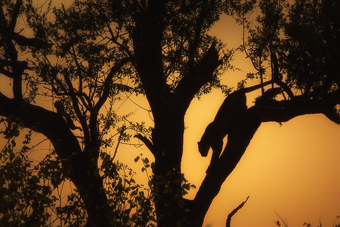 Private Full Day Safari (10 Hours) in Kruger National Park