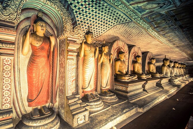 Private Full Day Tour in Dambulla & Sigiriya - Overview of the Tour