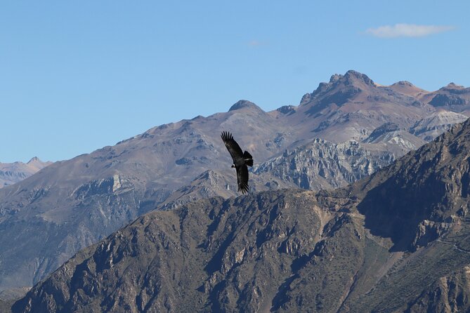 Private Full Day Tour to Colca Canyon With Breakfast