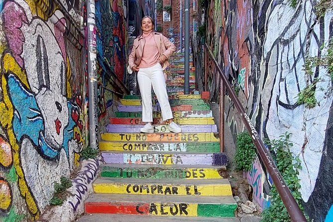Private Full-Day Tour to Valparaiso, Viña Del Mar, and Reñaca