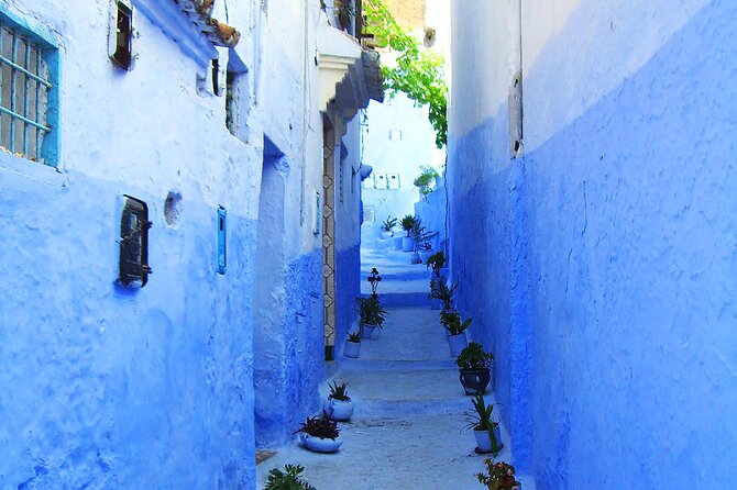 Private Full Day Trip To Chefchaouen From Fez