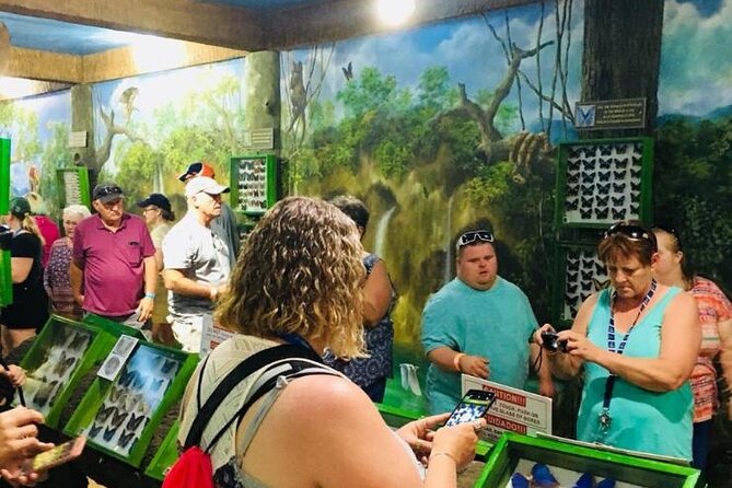 7 Best Guided Tours In Roatan