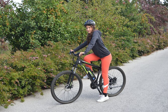Private Guided Tour on Lake Como by E-Bike