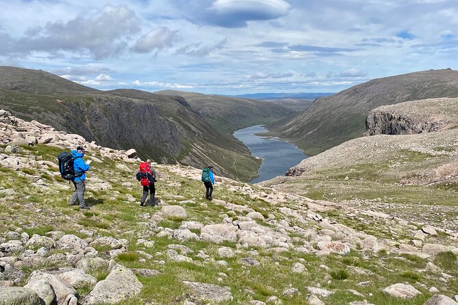 4 Best Guided Tours In Aviemore