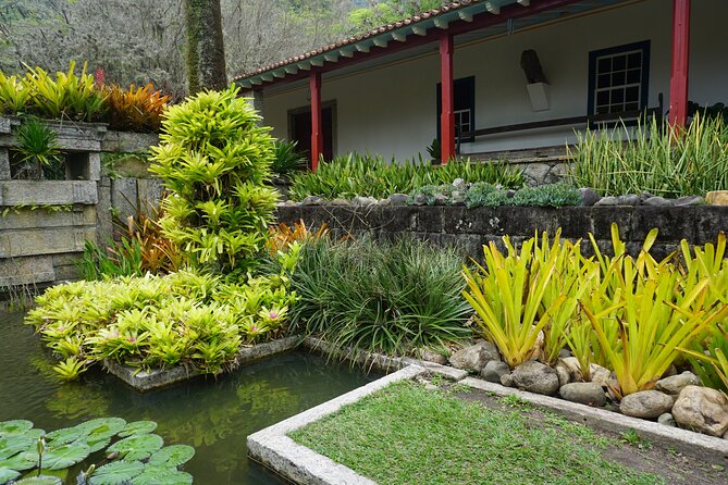 Private Half-Day Tour in Roberto Burle Marx Site