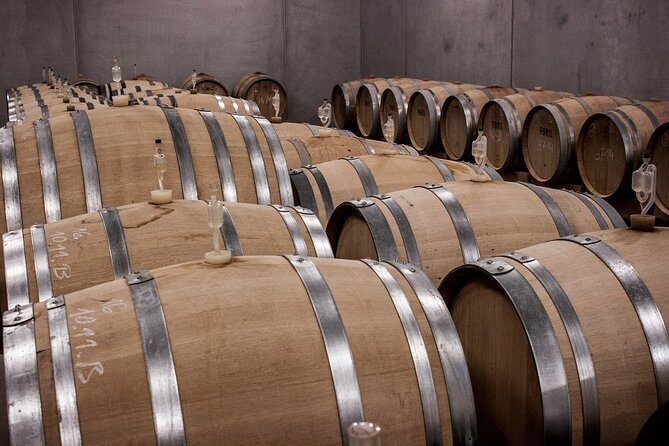 Private Half Day Txakoli Wine Tour & Getaria Fishing Village