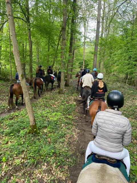 Private Horse Ride Experience - Experience Overview