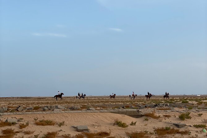 Private Horse Riding Experience at Red Sea