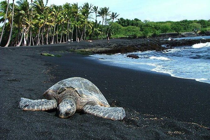 Private Island Tour in Hawaii With Pickup Included